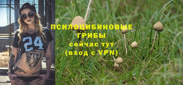 мяу мяу мука Волоколамск